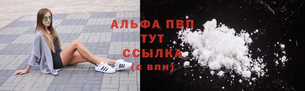эйфоретик Иннополис