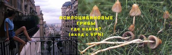 прущая мука Инта