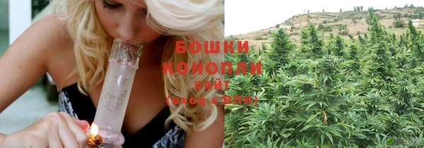 прущая мука Инта